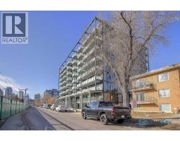 317r 9a Street Nw, Calgary, AB T2N1T7 Photo 32