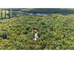 6683 Old Hastings Road, Tudor And Cashel, ON K0K1Y0 Photo 45