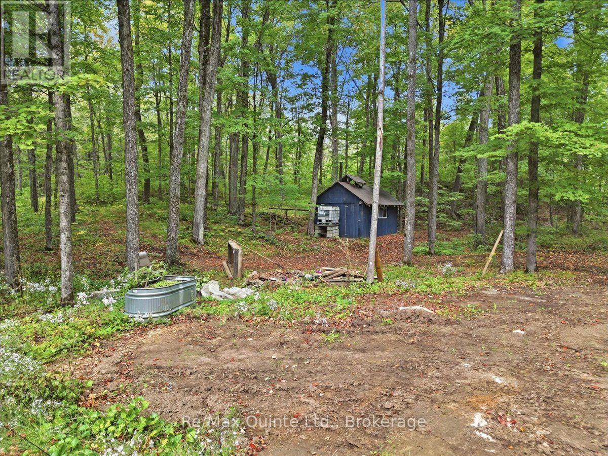 578 OLD APSLEY ROAD - Image 39