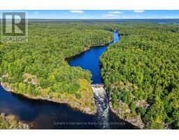 293 Musquosh River Shore, Georgian Bay, ON P0C1H0 Photo 26