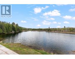 164 Garden Lake Trail, Whitewater Region, ON K0J1Y0 Photo 34