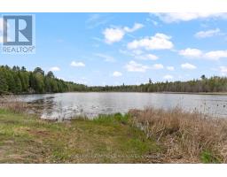 164 Garden Lake Trail, Whitewater Region, ON K0J1Y0 Photo 42