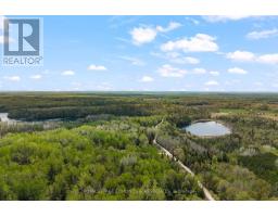 164 Garden Lake Trail, Whitewater Region, ON K0J1Y0 Photo 46