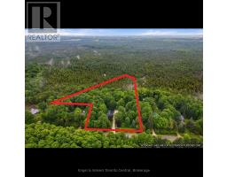 467042 12th Conc B Concession, Grey Highlands, ON N0C1E0 Photo 33