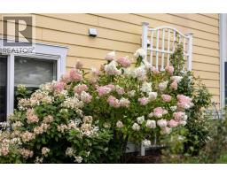 1007 Fourth Street, Nelson, BC V1L2T5 Photo 50