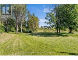 202 West Street S, Kawartha Lakes, ON K0M1N0 Photo 28