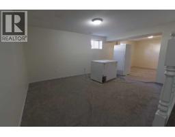 509, 1 Street Street E, Barnwell, AB T0K0B0 Photo 18