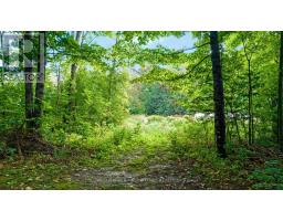 725 Drummond Con 5b Concession, Drummond/north Elmsley, ON K7H3C8 Photo 45