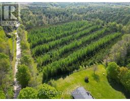 Pt Lt 13 Con 1 Side Road 10, Chatsworth, ON N0H1G0 Photo 14