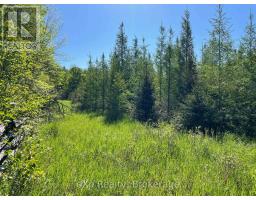 Pt Lt 13 Con 1 Side Road 10, Chatsworth, ON N0H1G0 Photo 15