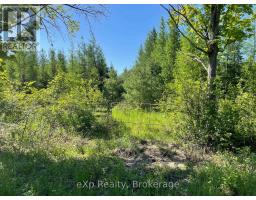 Pt Lt 13 Con 1 Side Road 10, Chatsworth, ON N0H1G0 Photo 16