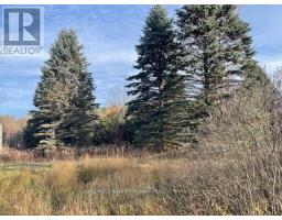 3678 Mccarthy Drive, Clearview, ON L0M1N0 Photo 6