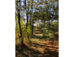 2509 12th Line, Selwyn, ON K0L2H0 Photo 47
