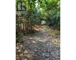 2509 12th Line, Selwyn, ON K0L2H0 Photo 48
