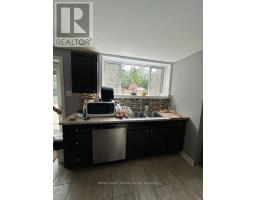 Lower - 189 Little Avenue, Barrie, ON L4N6L1 Photo 14