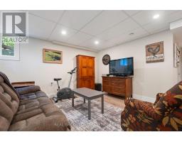 22 Milne Street, Norfolk, ON N0E1X0 Photo 22