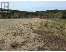 62A Country Road thumbnail 10