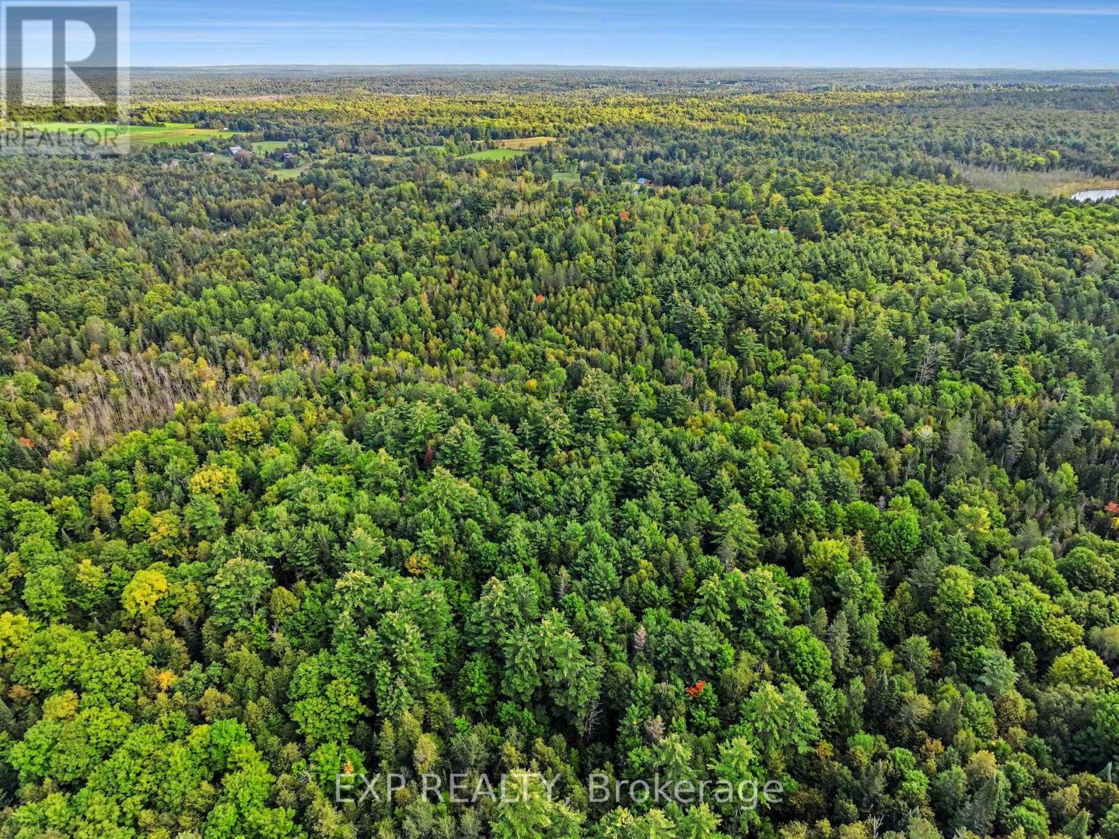 1585 Darling Road, Lanark Highlands, Ontario, K0A1P0, Lanark Highlands, Ontario — photo 5 of 5