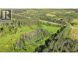 443044 Range Road 43, Rural Ponoka County, AB T0C0M0 Photo 30
