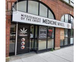 793 King Street W, Toronto, ON M5V1N4 Photo 7