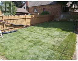 Lower - 169 O'connor Drive, Toronto, ON M4J2S7 Photo 9