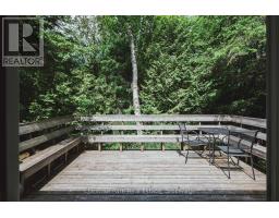 295 Tammys Cove Road, Northern Bruce Peninsula, ON N0H1W0 Photo 29