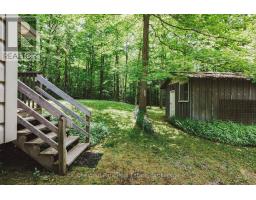 295 Tammys Cove Road, Northern Bruce Peninsula, ON N0H1W0 Photo 32