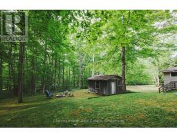 295 Tammys Cove Road, Northern Bruce Peninsula, ON N0H1W0 Photo 35
