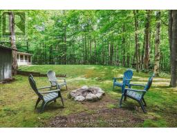 295 Tammys Cove Road, Northern Bruce Peninsula, ON N0H1W0 Photo 36