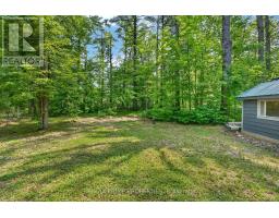 133 Stanley Road, Kawartha Lakes, ON K0M2T0 Photo 26