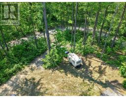 133 Stanley Road, Kawartha Lakes, ON K0M2T0 Photo 34
