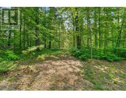 133 Stanley Road, Kawartha Lakes, ON K0M2T0 Photo 37