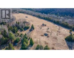 L 24&25 - 0 Lost Nation Road, Brudenell, Lyndoch And Raglan, ON K0J2E0 Photo 15