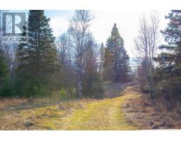 L 24&25 - 0 Lost Nation Road, Brudenell, Lyndoch And Raglan, ON K0J2E0 Photo 42