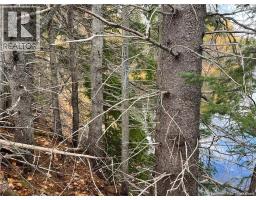 Lot 24-3 Creekview Lane, Galloway, NB E4W2G6 Photo 10