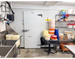 133 Jefferson Avenue, Toronto, ON M6K3E4 Photo 44