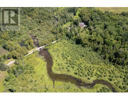982 Porter Road, Kawartha Lakes, ON L0A1A0 Photo 33