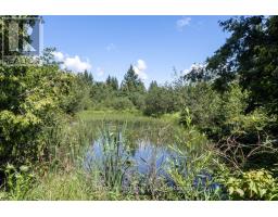 982 Porter Road, Kawartha Lakes, ON L0A1A0 Photo 40
