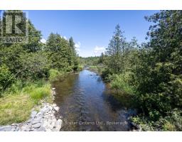 982 Porter Road, Kawartha Lakes, ON L0A1A0 Photo 42
