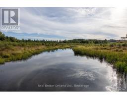 982 Porter Road, Kawartha Lakes, ON L0A1A0 Photo 43