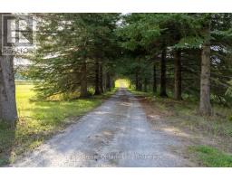 982 Porter Road, Kawartha Lakes, ON L0A1A0 Photo 44
