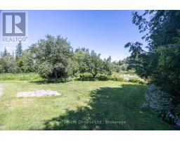 982 Porter Road, Kawartha Lakes, ON L0A1A0 Photo 45