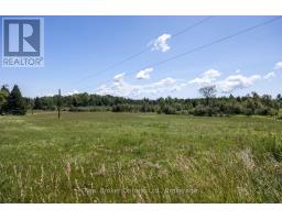 982 Porter Road, Kawartha Lakes, ON L0A1A0 Photo 47