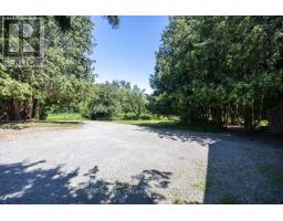 982 Porter Road, Kawartha Lakes, ON L0A1A0 Photo 49