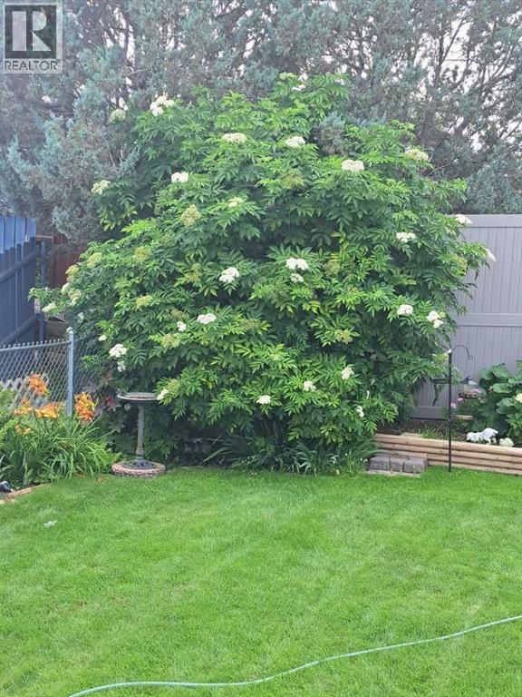 382 Belanca Crescent SW - 47