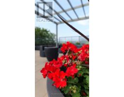 302 - 101 Richmond Road, Ottawa, ON K1Z0A6 Photo 20