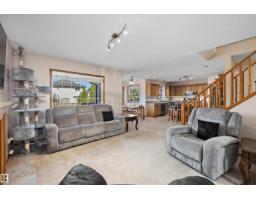 Storage - 438 Hodgson Bv Nw, Edmonton, AB T6R3E9 Photo 13