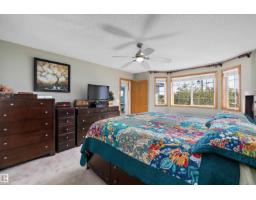438 Hodgson Bv Nw, Edmonton, AB T6R3E9 Photo 38