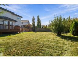438 Hodgson Bv Nw, Edmonton, AB T6R3E9 Photo 65