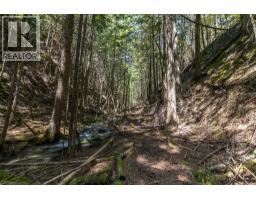 Sunnybrae Canoe Point Road Lot# 2, Tappen, BC V0E2X1 Photo 36